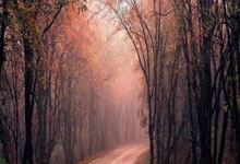 竞技宝:拜仁官方:此前小腿肌肉受伤的诺伊尔今日恢复有球训练.