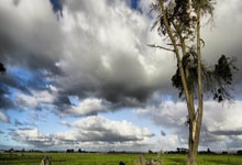 竞技宝:CBA大变天!爆下个赛季4节8人次,归化算本土,开放亚外名额.