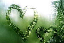 郭嘉璇哥哥:目前国安和北京足协没给家属一个满意的处理方法.